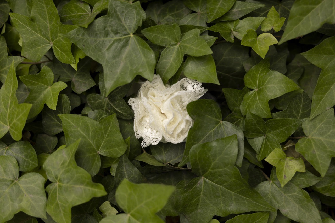 Green Outside, Empty Inside: Let's Talk About Greenwashing