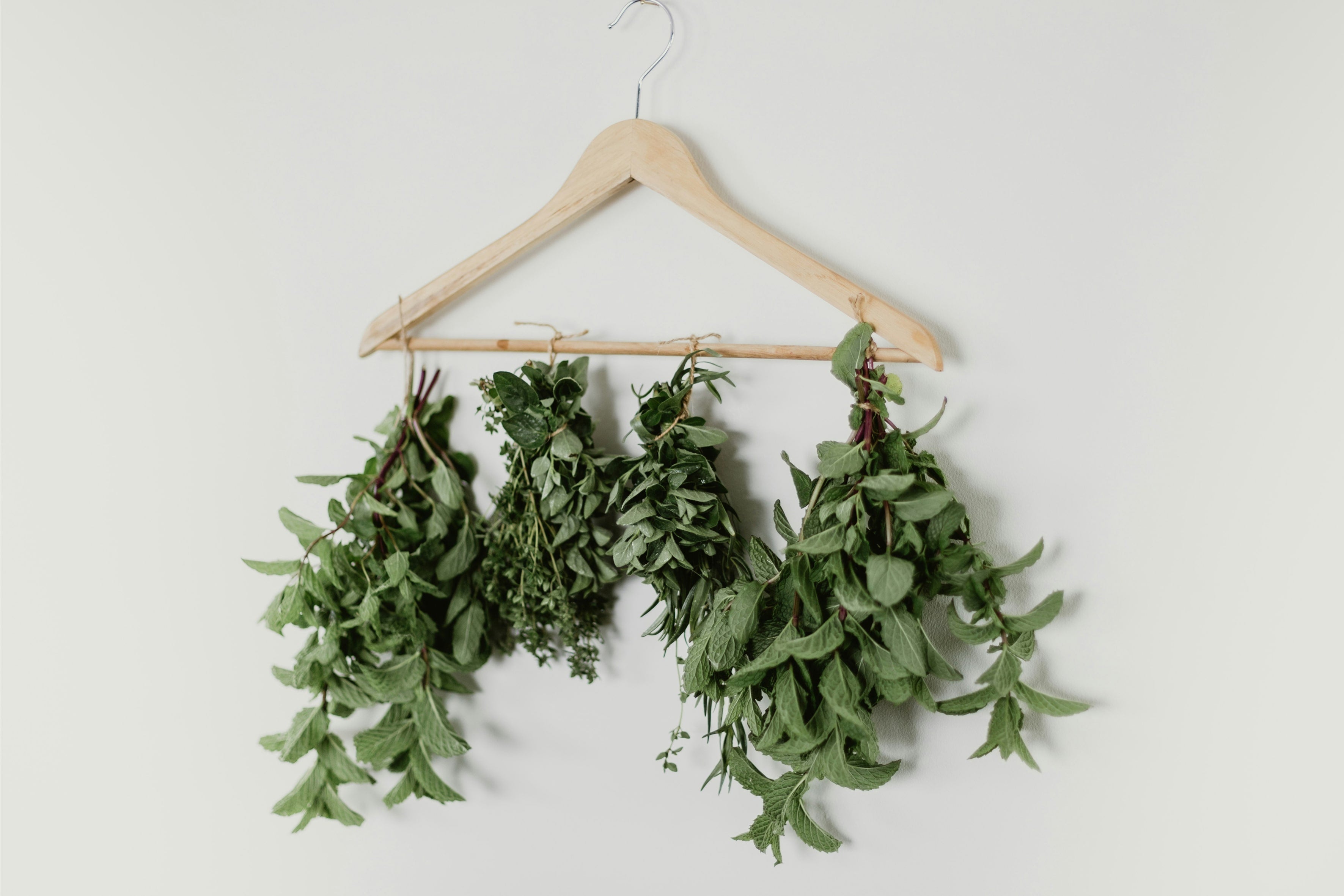 Bunches of fresh herbs tied with string and hung on a wooden coat rack against a white wall