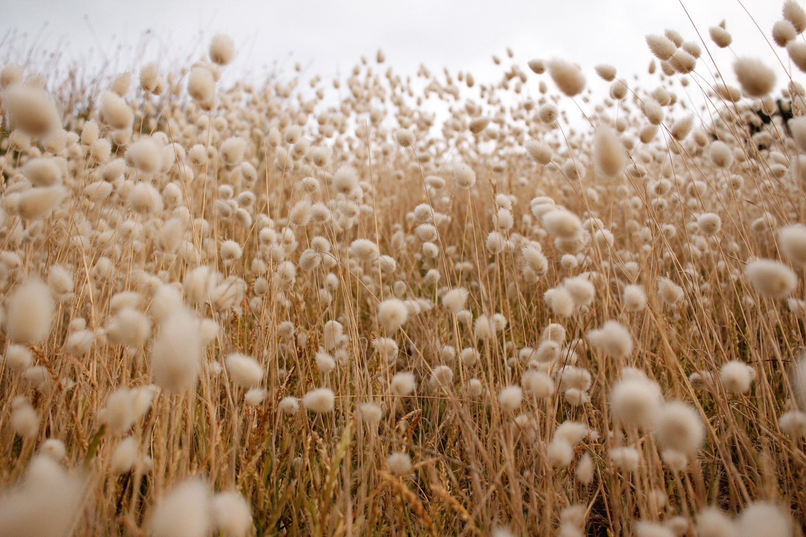 From Inception to Evolution: The Sustainable Fashion Journey