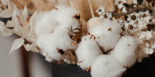 Cotton flower