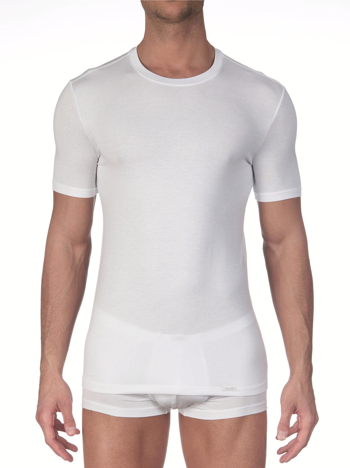 Set men's t-shirt in Micromodal 1572 + men's medium rise brief 1581