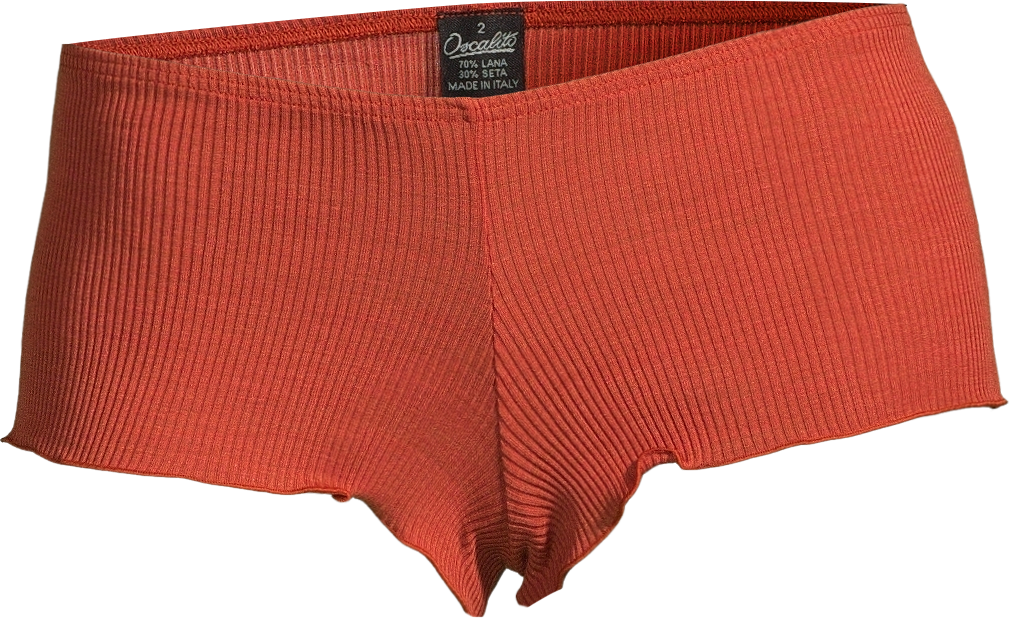 Middle Rise Panties Wool and Silk 3441 - Oscalito